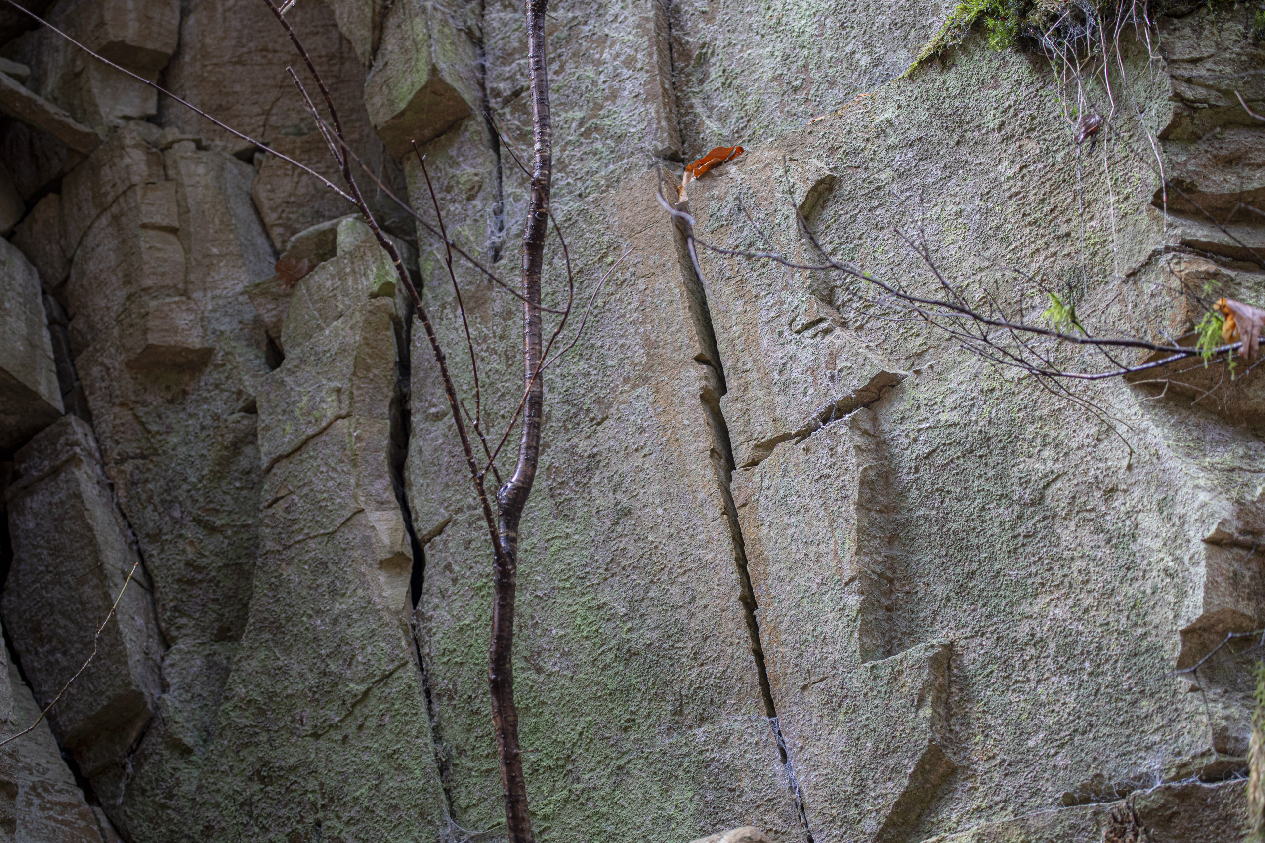 20251129122330 RD4 0839